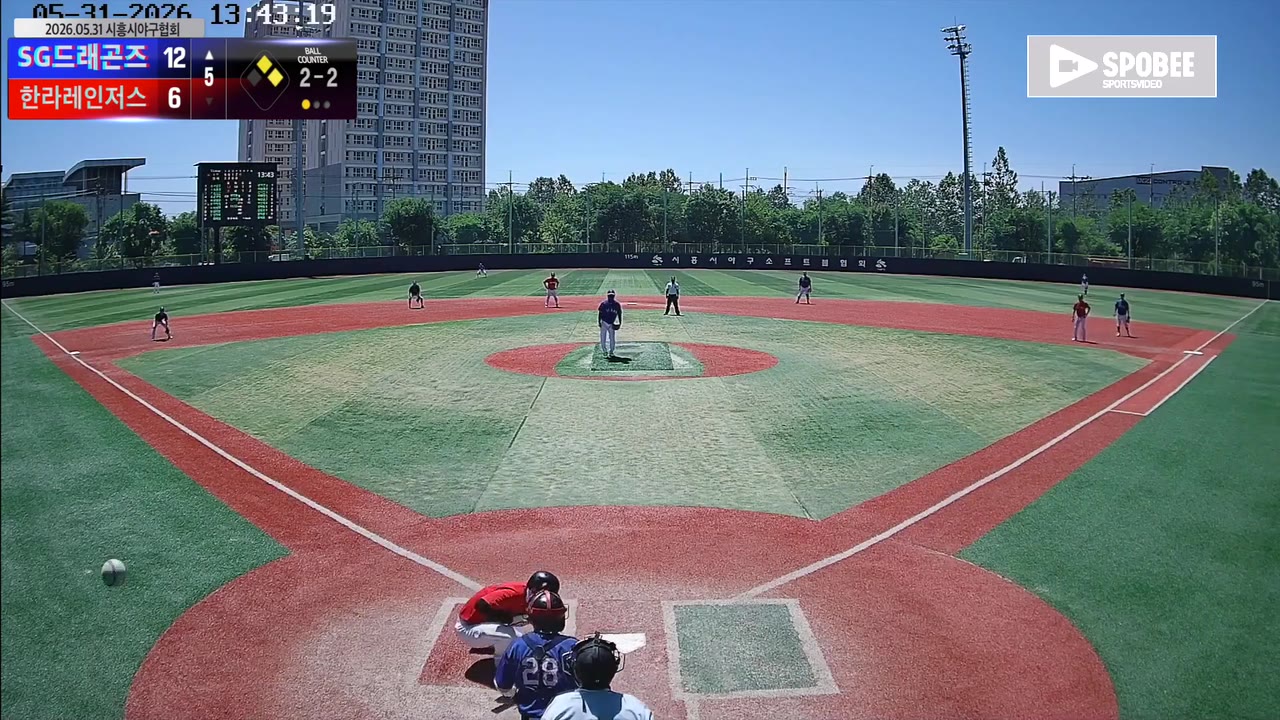이태욱(10번, SG드래곤즈) 사구 클립 | vs 한라레인저스 | 5/31 (소망야구장)