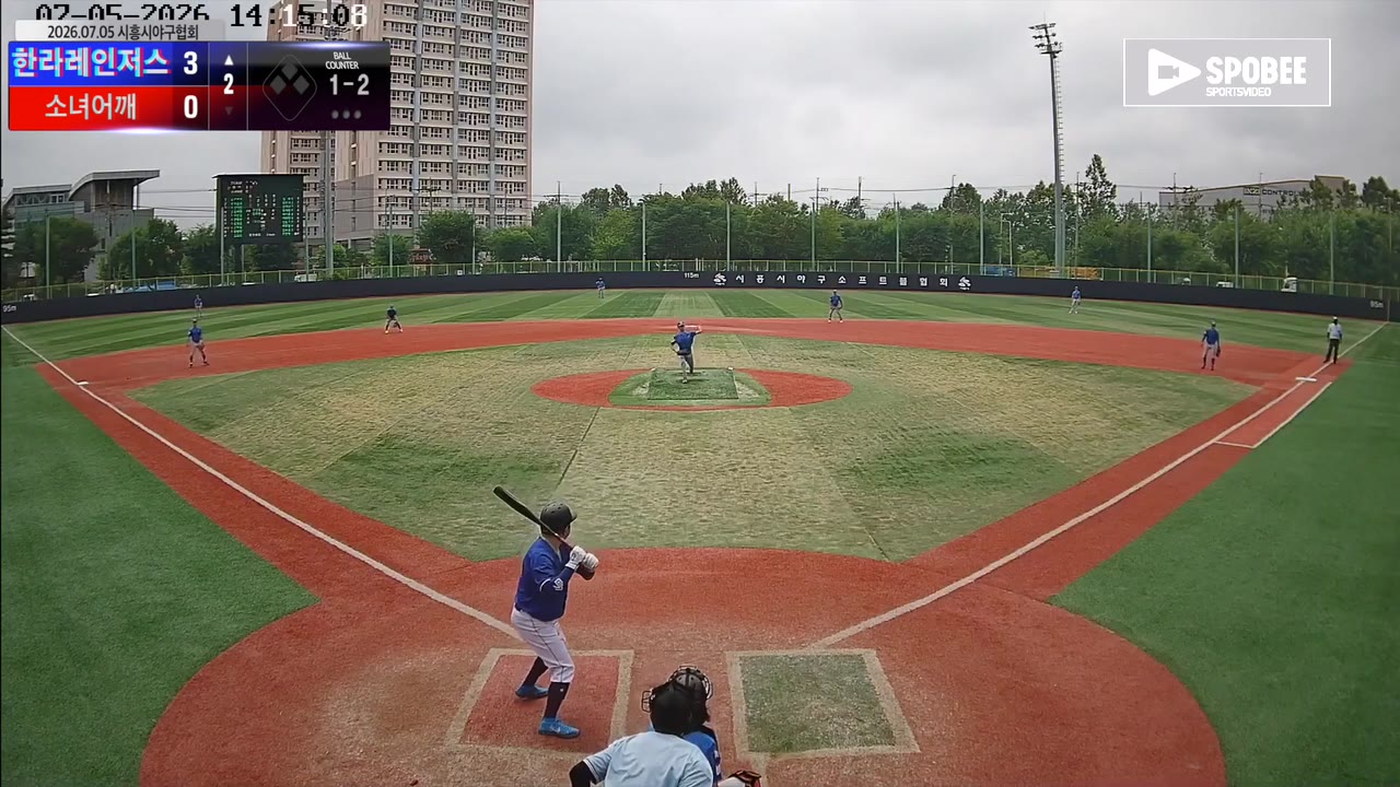 신하늘