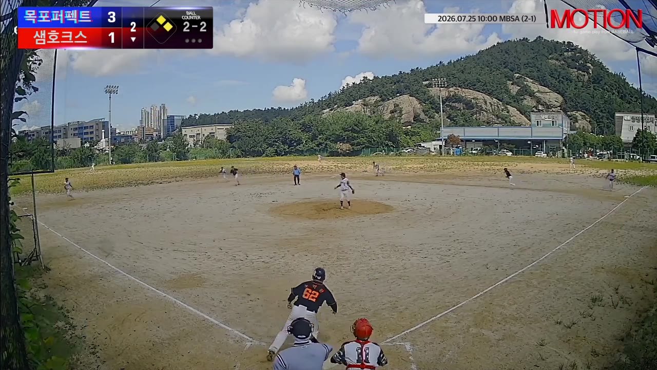 노박환