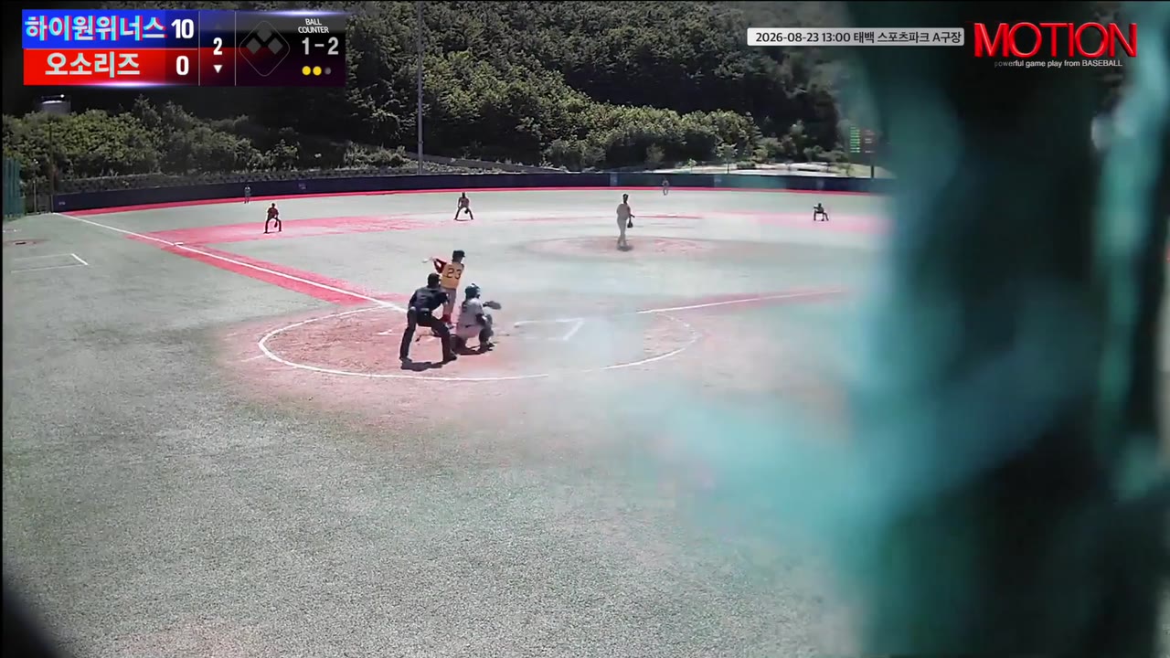 변무정